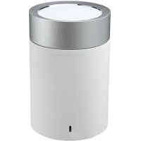 

Порт. колонка "XIAOMI"(FXR4062GL)