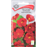 

Семена настурция"КОРИЧНЕВЫЙ БЛИК"(бол)1г