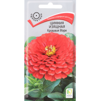 

Семена цинния"КРОВАВАЯ МЭРИ"(изящн)0.4г