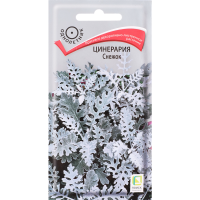 

Семена цинерария"СНЕЖОК"0.1г
