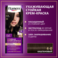 

Краска д/волос "PALETTE" (ICC N3)