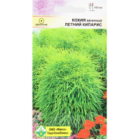 

Семена "КОХИЯ ВЕНИЧНАЯ ЛЕТ. КИП." 0.5г