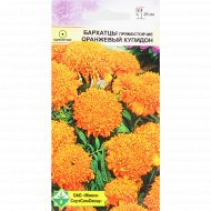 Семена «Бархатцы оранжевый купидон» прямостоячие, 0.3 г.