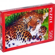 Пазл «Рыжий кот» Леопард на траве, ГИП500-0623, 500 элементов