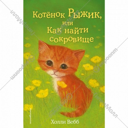 Книга «Котёнок Рыжик, или Как найти сокровище».