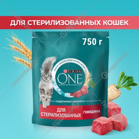 Корм для кошек «Purina One» говядина и пшеница, 750 г