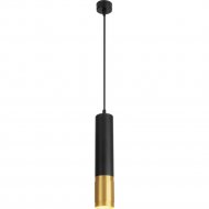 Подвесной светильник «Евросвет» DLN108 GU10, черный/золото