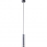 Подвесной светильник «Евросвет» DLR023 12W 4200K, хром матовый