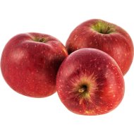 Яблоко Заславское 1 кг, фасовка 1&nbsp;-&nbsp;1.2 кг