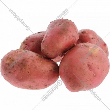 Картофель ранний, красный, 1 кг, фасовка 2.1 - 2.5 кг