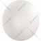 Точечный светильник «Sonex» Simple, Pale SN 066, 3017/EL, белый