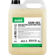 Средство чистящее для санузлов «Profit» Gel, 453-5, 5 л