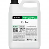 Средство для удаления гипсовой пыли «Pro-Brite» Probel, 070-5, 5 л