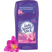 

Дез. "LADY SPEED STICK"(дикая фрезия)45г