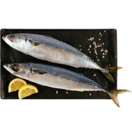 Скумбрия тихоокеанская с головой, неразделанная, замороженная, 1 кг, фасовка 1.3&nbsp;-&nbsp;1.5 кг