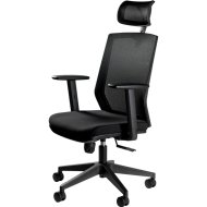 Компьютерное кресло «Unique» Fotel Esta, FS02-1H-4