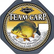 Леска рыболовная «Konger» Team Carp, 214001025, 250-350 м, 0.25 мм