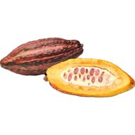 Какао фрукт свежий, 1 г