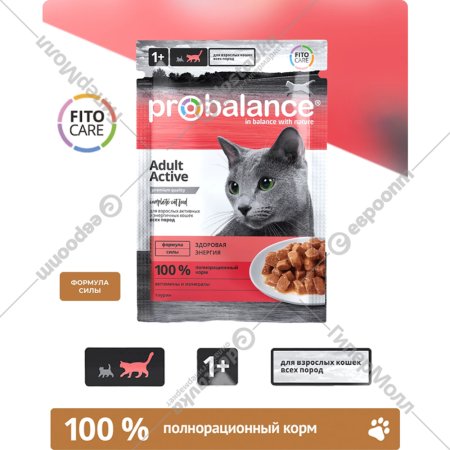 Корм для кошек «ProBalance» Active, для активных кошек, 28х85 г