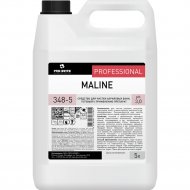 Чистящее средство для акриловых ванн «Pro-Brite» Maline, 348-5, 5 л