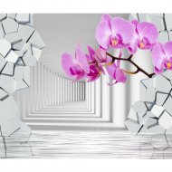 Фотообои «Citydecor» Орхидея 3D, 3 листа, 300х254 см