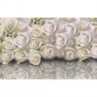 Фотообои «Citydecor» Розы с каплями росы, 4 листа, 400х254 см