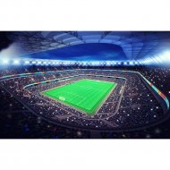 Фотообои «Citydecor» Стадион 2, 4 листа, 400х254 см