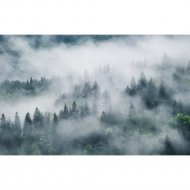 Фотообои «Citydecor» Лес в тумане, 4 листа, 400х254 см