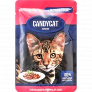 Корм для кошек «CandyCat» с лососем в желе, для стерилизованных, 85 г