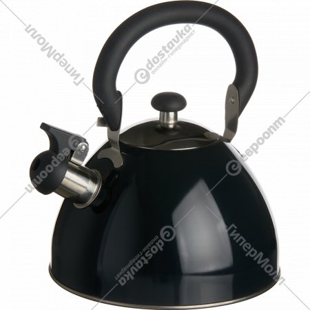 Чайник «Катунь» КТ-106D, чёрный, 2.5 л