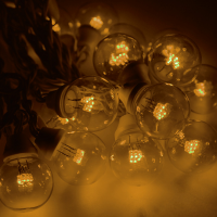 

Гирлянда "GALAXY BULB STRING" (331-321)