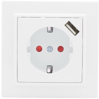 

Розетка "EKF" (ERR16-028-100-USB)