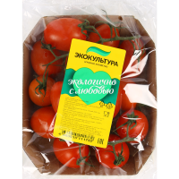 

Томат коктейль на ветке (фас 500г) 1шт