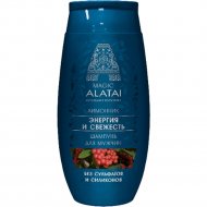 Шампунь для волос «Magic Alatai» Энергия и свежесть, для мужчин, 250 мл