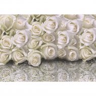 Фотообои «Citydecor» Розы с каплями росы, 2 листа, 200х140 см