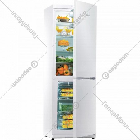 Холодильник-морозильник «Snaige» RF34SM-S0002F