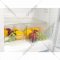 Холодильник-морозильник «Snaige» RF34SM-S0002F