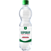 

Вода минеральная "БОРОВАЯ" РБ 0.5л