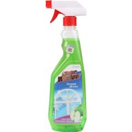 Средство для мытья стекол Mister window зеленое яблоко, 750 мл