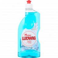 Средство для мытья посуды «Mister Ludwig» свежесть, 500 г