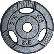 Диск для штанги окрашенный, K3-2.5 кг, 26 мм