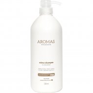 Шампунь для волос «Aromas» Colour, с аргановым маслом, 1 л