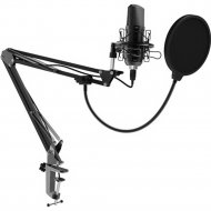 Микрофон «Ritmix» RDM-169-BLACK