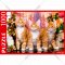 Пазл «Рыжий кот» Рыжие. Мейн-куны, ШТП1000-1475, 1000 элементов