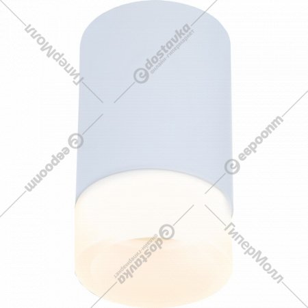 Потолочный светильник «Imex» IL.0005.1500 WH, белый