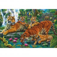 Картина по номерам «Рыжий кот» Семья тигров, Х-1003