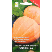 

Семена тыква крупнопл. "ЗЕМЛЯЧКА" 10шт