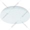 Потолочный светильник светодиодный «Ambrella light» FZ1072 WH, белый