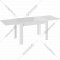 Обеденный стол «ТриЯ» Норман Тип 1, стекло белый глянец/белый, 1100(2100)х690 мм