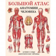 Книга «Большой атлас анатомии человека».